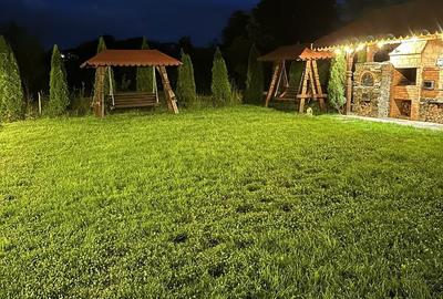 Spațiu comercial, de 761 mp, în Săpânța - 14