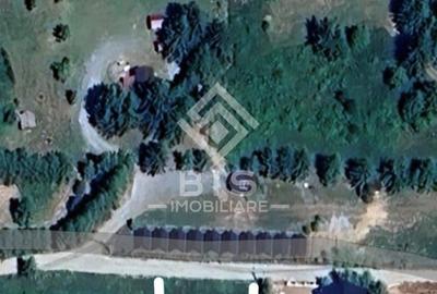 Teren Construcții intravilan de 1206 mp, în Colibița - 1