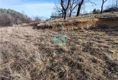 Teren intravilan de 850 mp, în Baciu - 11