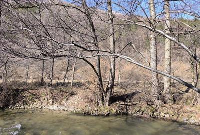 Spațiu comercial, în Petros