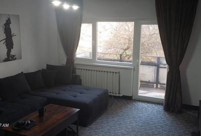 Apartament cu 2 camere, mobilat în Timocului-Șaguna - 10