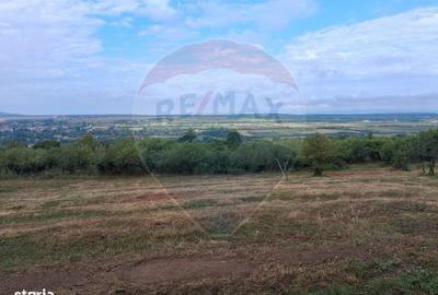 Spațiu comercial, în Hovrila - 9