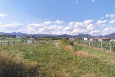 Spațiu comercial, în Săsar - 4