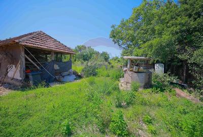 Casa  cu 3 camere si teren 4,342 mp de vanzare in Valea Mare de Codru - 16