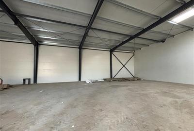 Spațiu industrial, de 600 mp, în Theodor Pallady - 14