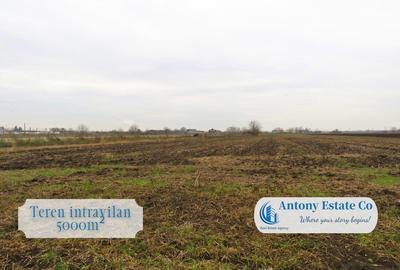 Oportunitate de investitie, Teren intravilan, Bors, Bihor - 2