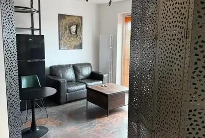 Doua camere mobilat/utilat stil industrial cu terasa zona Parc Carol - 22