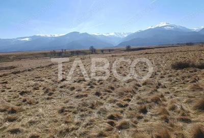 Teren de 1000 mp, în Gura Văii - 1