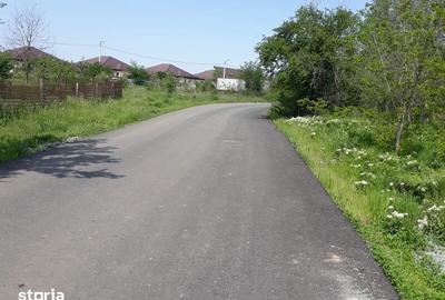 Teren de 629 mp, în Clinceni - 3