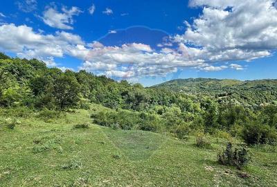 Teren intravilan Breaza 21190 mp Dealuri str. Livezi 6G - 5