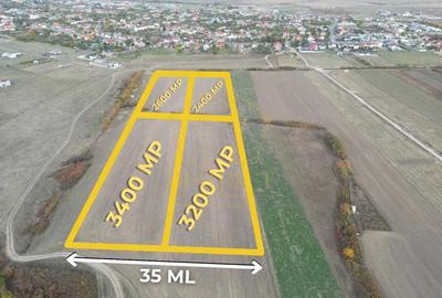 Teren de 11600 mp, în Remetea Mare - 4