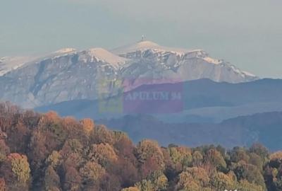 Teren de 3092 mp, în Telega - 8