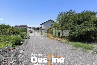 Teren Construcții intravilan de 500 mp, în Alexandriei - 3