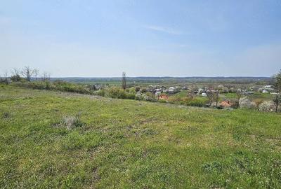 Casă cu Teren 23000 Mp în Diculești - 1