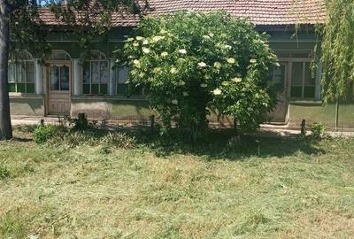 Teren în Băneasa - 6