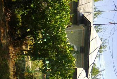 Casa cu anexe ?i teren - 5