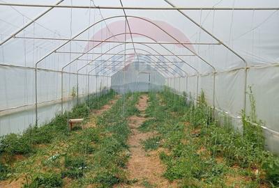 Casă individuală cu 4 camere cu Teren 11016 Mp în Valea Babei - 24