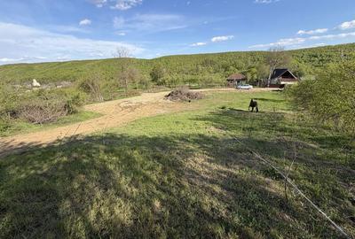 Spațiu comercial, în Făgetu - 1