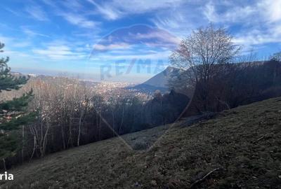 Spațiu comercial, în Schei - 6