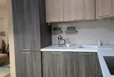 Apartament cu 3 camere decomandat, mobilat în Barbu Văcărescu - 11