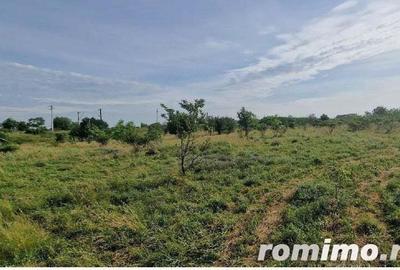 Cota 1/2 din teren 600 mp Domnesti, jud Ilfov-id R1983764 17.09 - 1