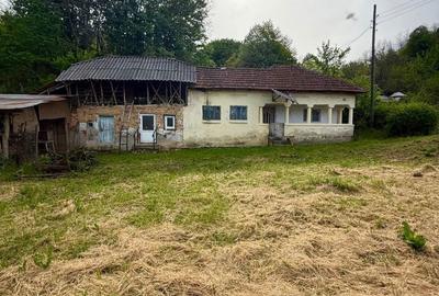 Casă cu 3 camere în Valea Nandrii - 4