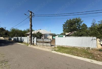 Casa de vanzare cu teren de 5000 mp - 3