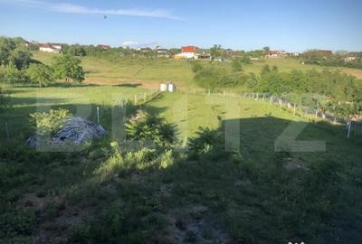 Casă cu 5 camere cu Teren 2600 Mp în Viile Satu Mare - 3