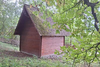 VANZARE ANSAMBLU CASUTE BRADULET ARGES - 9