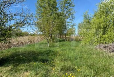 Teren de 19000 mp, în Central