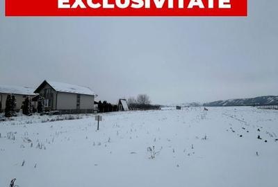 Spațiu comercial, în Viișoara - 1