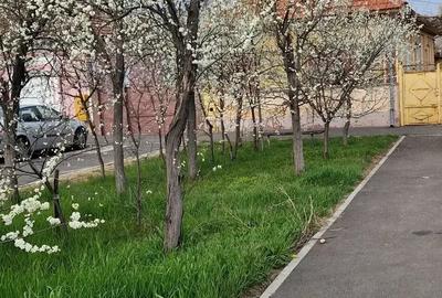 Casă cu 4 camere în Central - 2