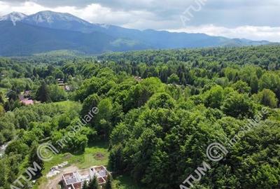 Teren Intravilan pe Valea Avrigului loc Avrig suprafata 7100 mp - 2