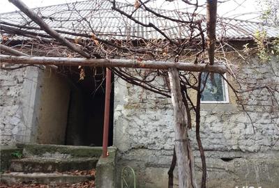 Casă cu 3 camere cu Teren 3850 Mp în Ciurea - 4