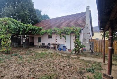 Vand casa ?i teren (2158 mp)Mo?ni?a Veche - 5