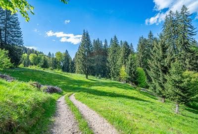 Teren intravilan cu potential turistic si de agrement, zona Trei Brazi - 24