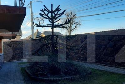 Oportunitate de investitie! Casa individuala 9 camere, 868 - 17