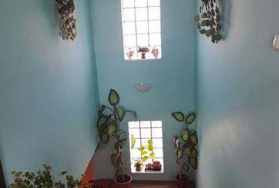 Casă cu 3 camere în Central - 3