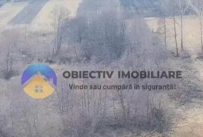 Teren de 10515 mp, în Bodești - 13