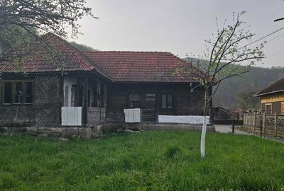 Casă cu 3 camere în Ocișor - 7