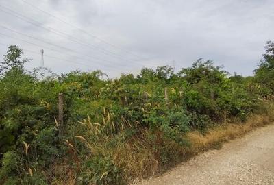 SFANTA AGNES-TEREN INTRAVILAN-559 MP SFANTA AGNES-TEREN INTRAVILAN-559 MP - 2