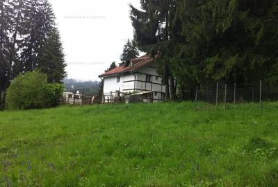 Teren intravilan Cotul Donului,pretabil Hotel/pensiune. - 10