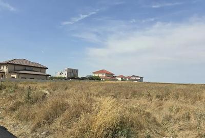 Teren de 6000 mp, în Lazu