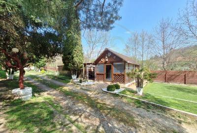 CASA DE VACANTA - UN MIC COLT DE RAI , STEFANESTI, ARGES CASA DE VACANTA - UN MIC COLT DE RAI , STEFANESTI, ARGES - 10