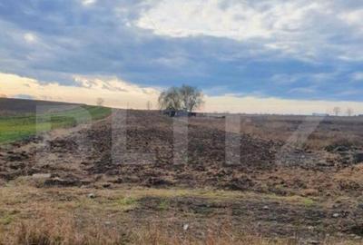 Teren extravilan Comi?ani - 4