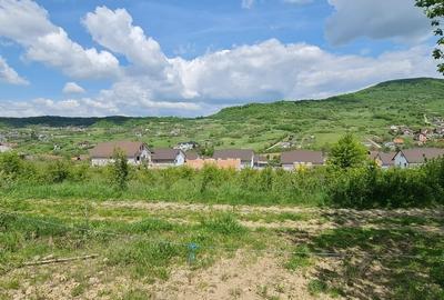Teren 1500 mp pe str Paltinului, Valea Ghinzii , extravilan Bistrita - 2