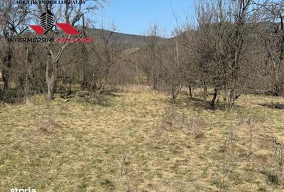 Casă cu 4 camere în Pârău lui Mihai - 15