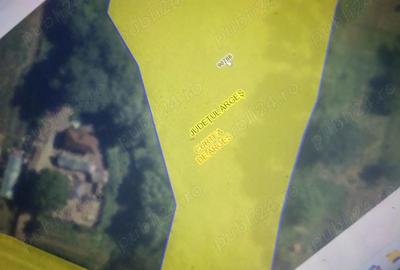 Teren de 5000 mp, în Central - 7