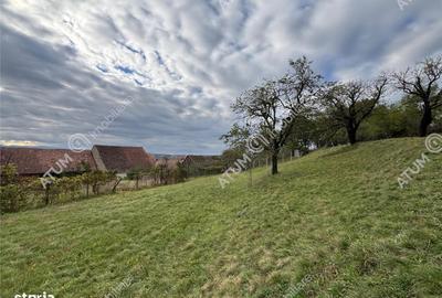 Spațiu comercial, în Mohu - 8