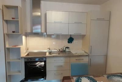 Apartament cu 2 camere decomandat, mobilat în Iancului - 3